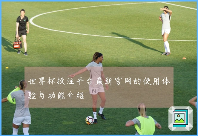 世界杯投注平台最新官网的使用体验与功能介绍