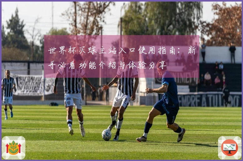 世界杯买球主站入口使用指南：新手必看功能介绍与体验分享