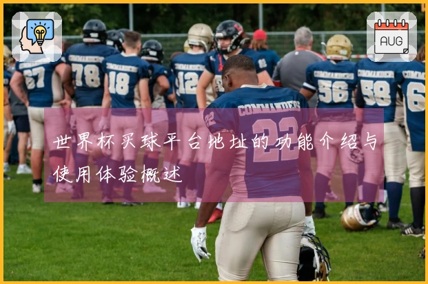 世界杯买球平台地址的功能介绍与使用体验概述