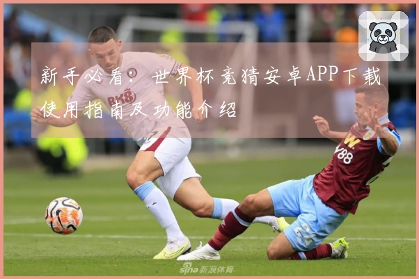 新手必看：世界杯竞猜安卓APP下载使用指南及功能介绍