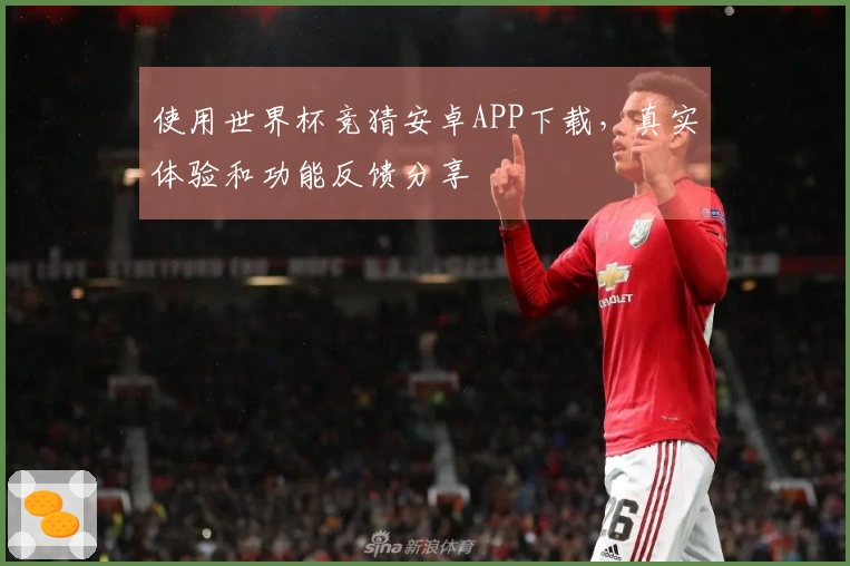 使用世界杯竞猜安卓APP下载,真实体验和功能反馈分享