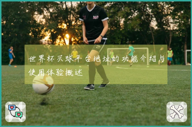 世界杯买球平台地址的功能介绍与使用体验概述