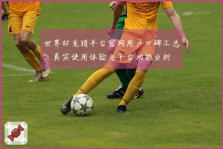 世界杯竞猜平台官网用户口碑汇总：真实使用体验与平台功能分析