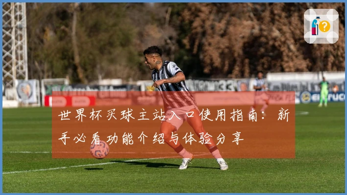 世界杯买球主站入口使用指南：新手必看功能介绍与体验分享