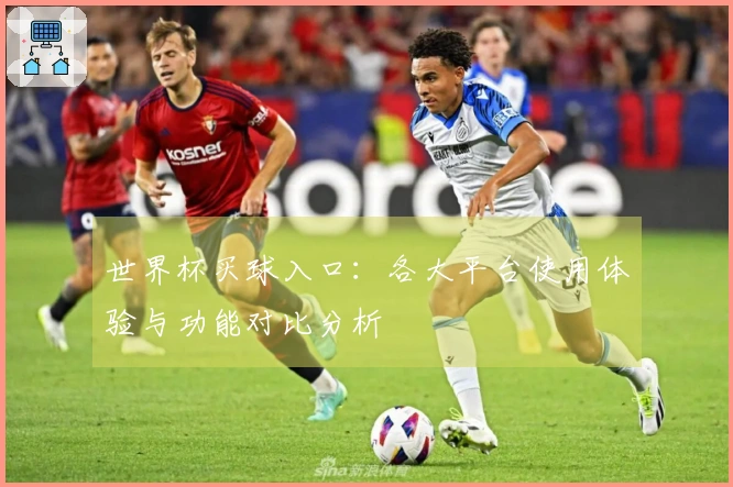 世界杯买球入口：各大平台使用体验与功能对比分析