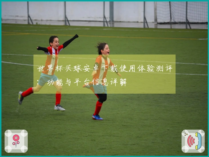 世界杯买球安卓下载使用体验测评：功能与平台信息详解