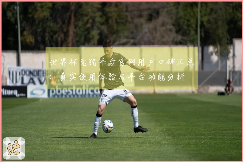 世界杯竞猜平台官网用户口碑汇总：真实使用体验与平台功能分析