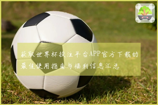 获取世界杯投注平台APP官方下载的最佳使用指南与福利信息汇总